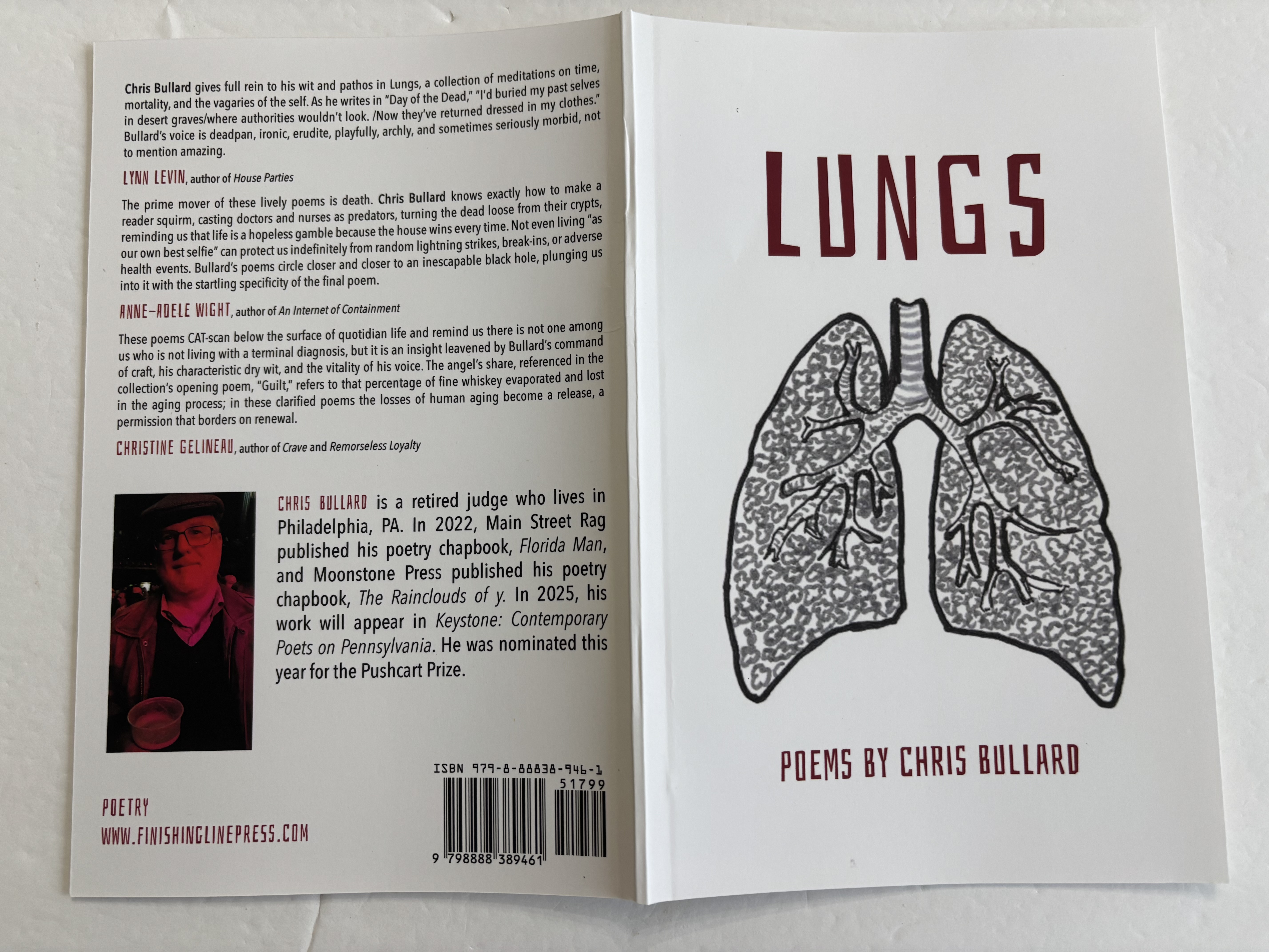 Lungs book cover