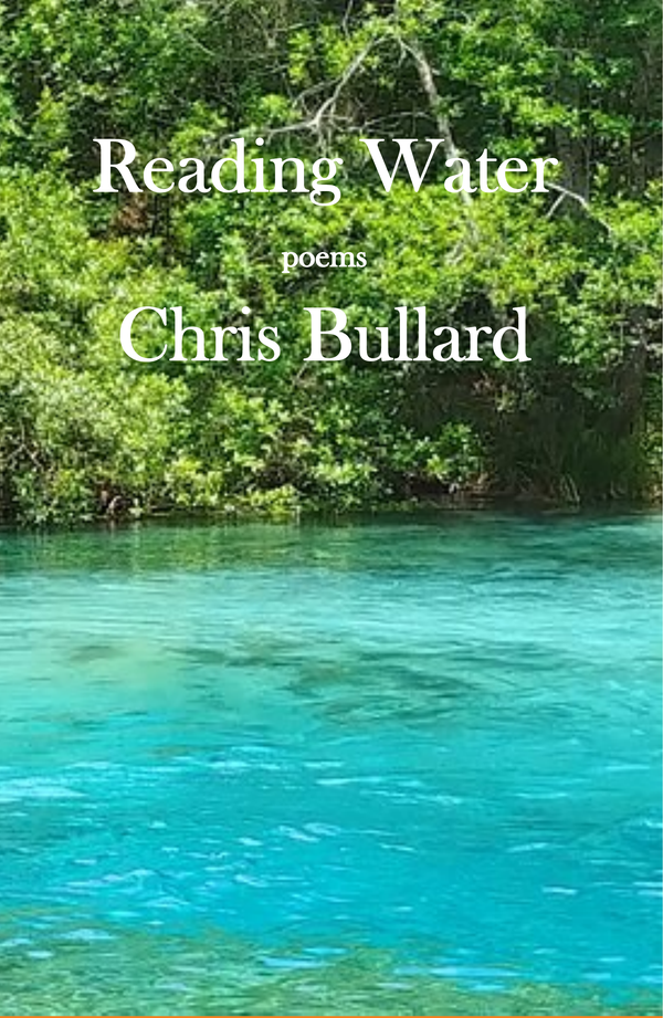 Reading Water by Chris Bullard